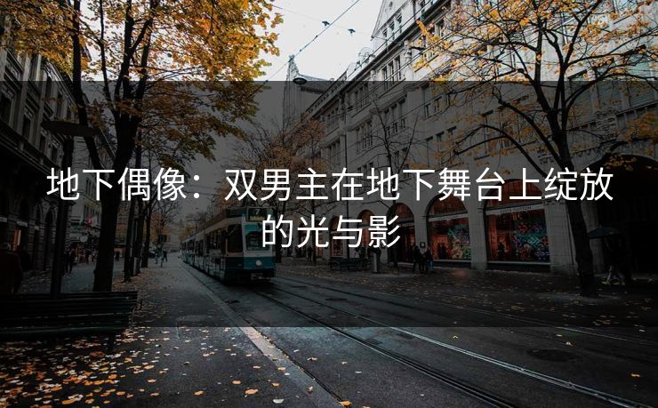 地下偶像：双男主在地下舞台上绽放的光与影