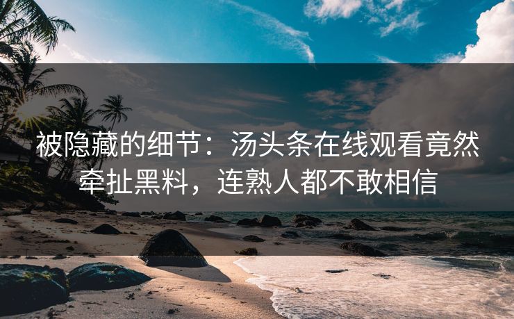 被隐藏的细节：汤头条在线观看竟然牵扯黑料，连熟人都不敢相信
