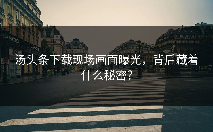 汤头条下载现场画面曝光，背后藏着什么秘密？
