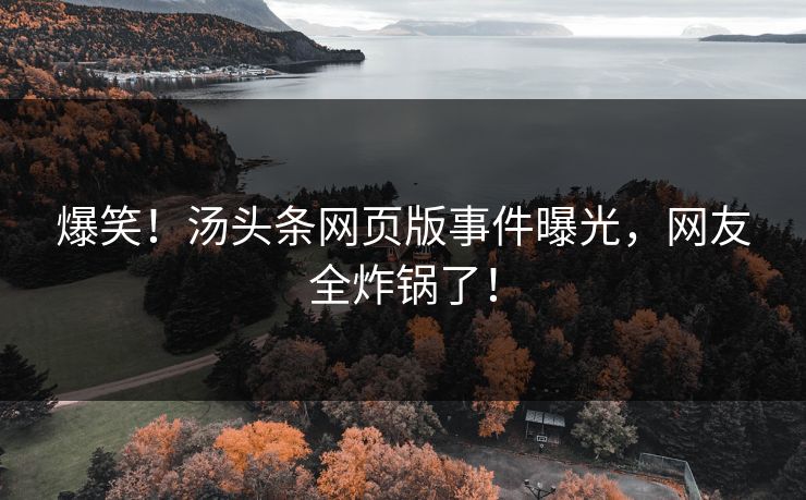 爆笑！汤头条网页版事件曝光，网友全炸锅了！