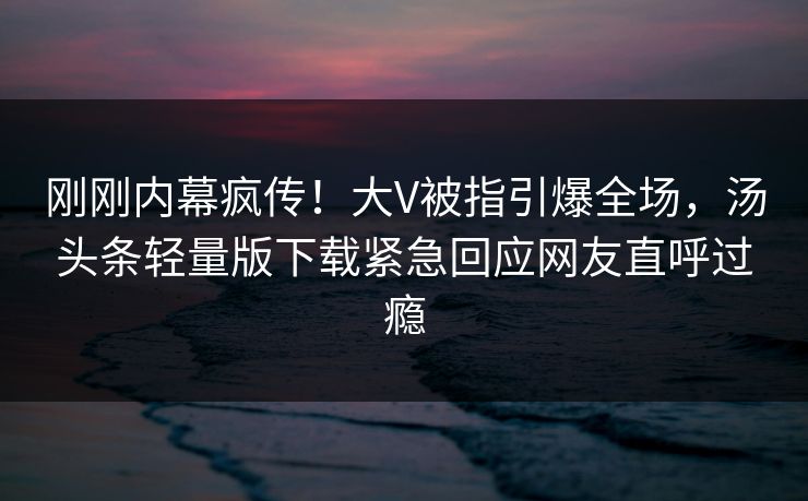 刚刚内幕疯传！大V被指引爆全场，汤头条轻量版下载紧急回应网友直呼过瘾