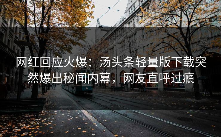 网红回应火爆：汤头条轻量版下载突然爆出秘闻内幕，网友直呼过瘾