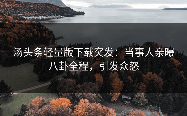 汤头条轻量版下载突发：当事人亲曝八卦全程，引发众怒