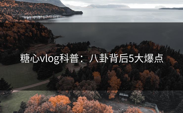 糖心vlog科普：八卦背后5大爆点