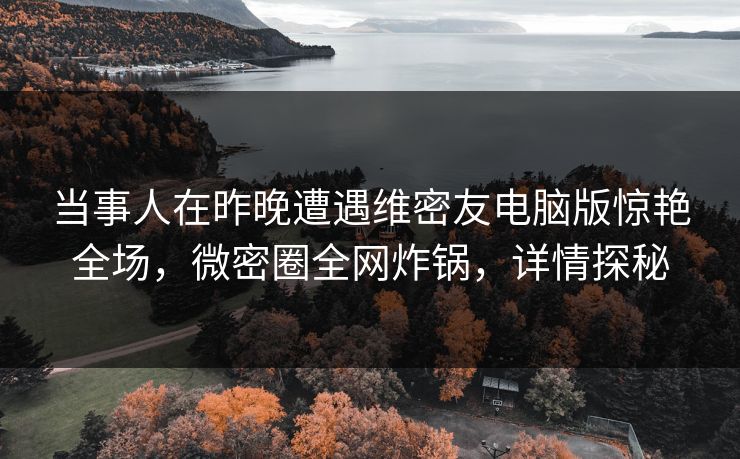 当事人在昨晚遭遇维密友电脑版惊艳全场，微密圈全网炸锅，详情探秘